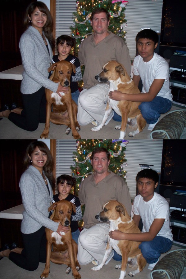 Happy Holidays