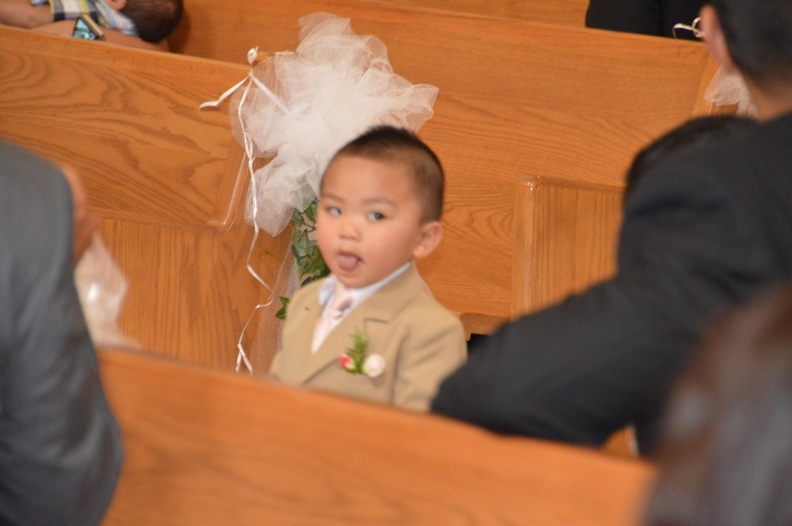 Edlyn_n_Edwin_Wedding_-_100.JPG