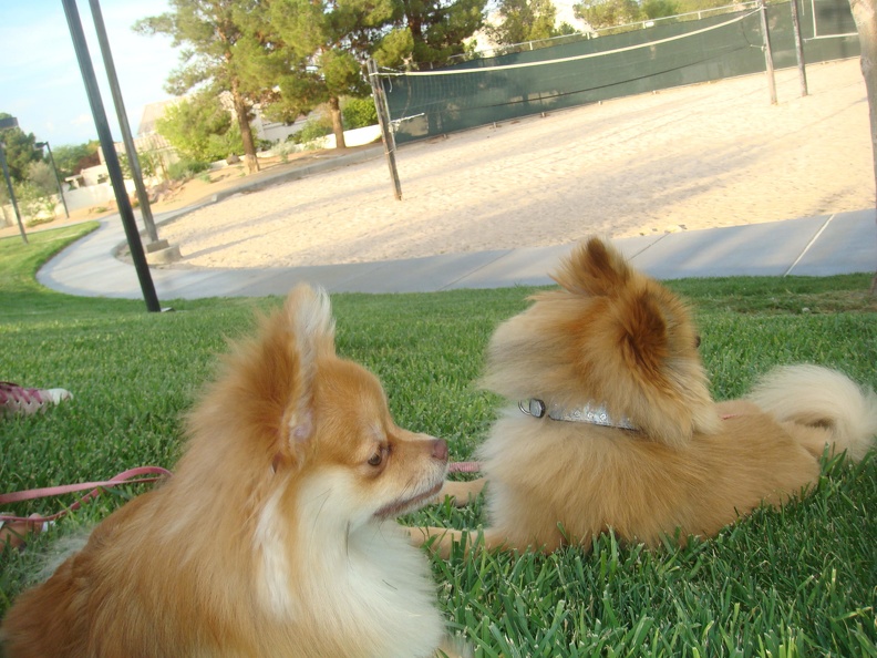 DSC03374.JPG
