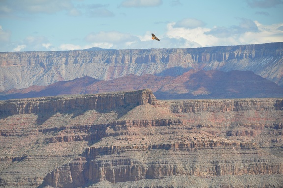 Grand Canyon 129