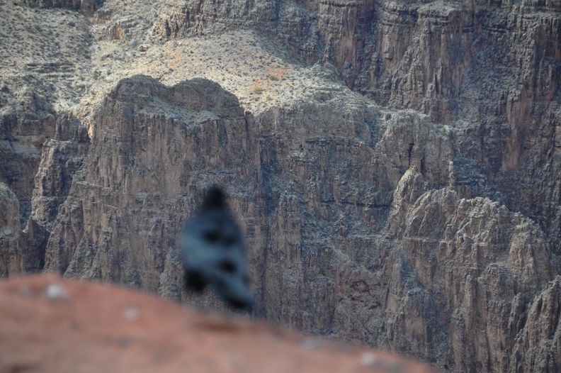 Grand_Canyon_170.jpg