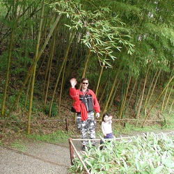 2003 Hakone Gardens