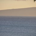 Maui 2012 029