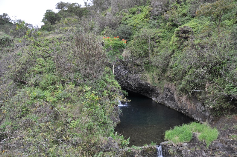 Maui 2012 126