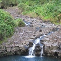 Maui 2012 509