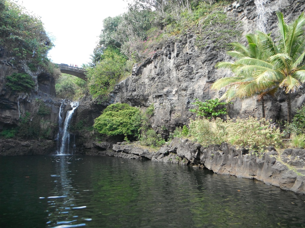 Maui 2012 629
