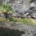 Maui 2012 630