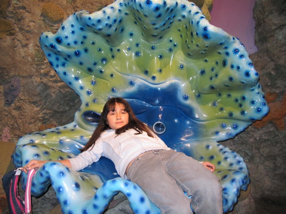Monterey Bay Aquarium 178