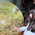 Monterey Bay Aquarium 190