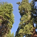 Yosemite 2011 - 087