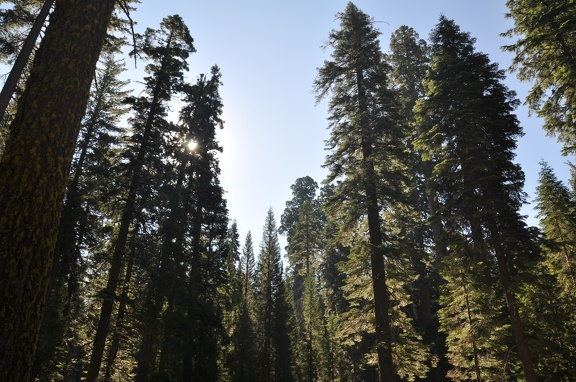 Yosemite 2011 - 089