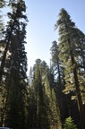Yosemite 2011 - 091 001