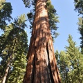 Yosemite 2011 - 092