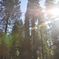 Yosemite 2011 - 093