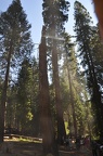 Yosemite 2011 - 094
