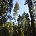 Yosemite 2011 - 095