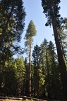 Yosemite 2011 - 095