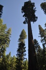 Yosemite 2011 - 096
