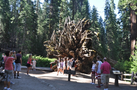Yosemite 2011 - 106