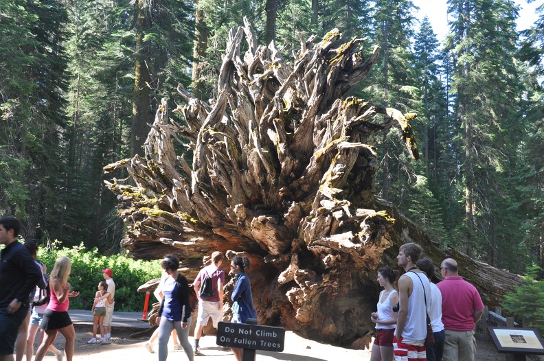 Yosemite 2011 - 107