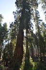 Yosemite 2011 - 112