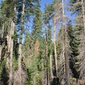 Yosemite 2011 - 115