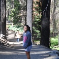 Yosemite 2011 - 124