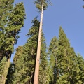 Yosemite 2011 - 134
