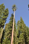 Yosemite 2011 - 134
