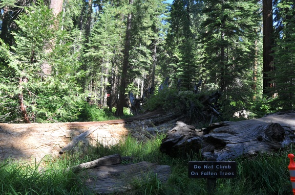 Yosemite 2011 - 135