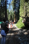 Yosemite 2011 - 138