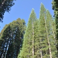Yosemite 2011 - 139