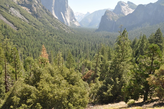 Yosemite 2011 - 144