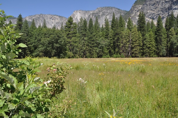 Yosemite 2011 - 179