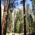 Yosemite 2011 - 182