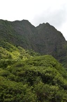 Maui 403