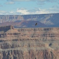 Grand Canyon 127