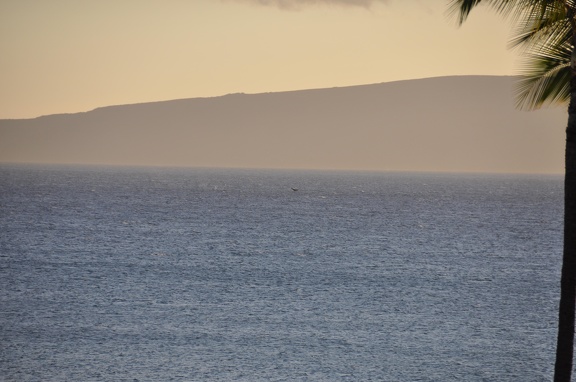 Maui 2012 029