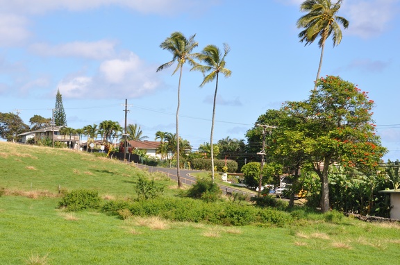 Maui 2012 056