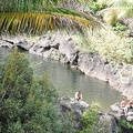 Maui 2012 108