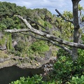 Maui 2012 114