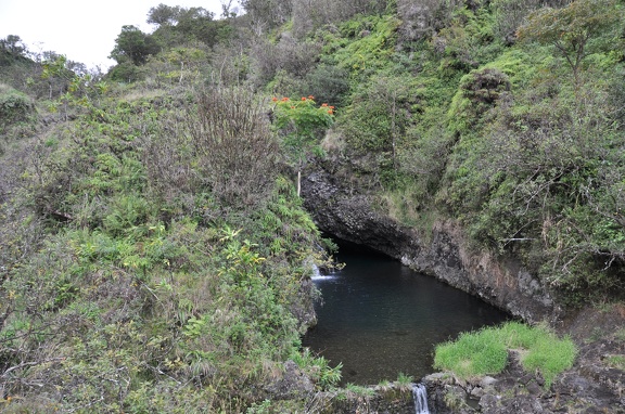 Maui 2012 126