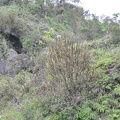 Maui 2012 130