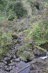 Maui 2012 132