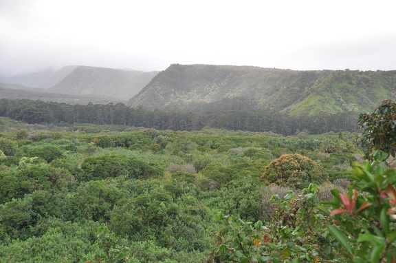 Maui 2012 138
