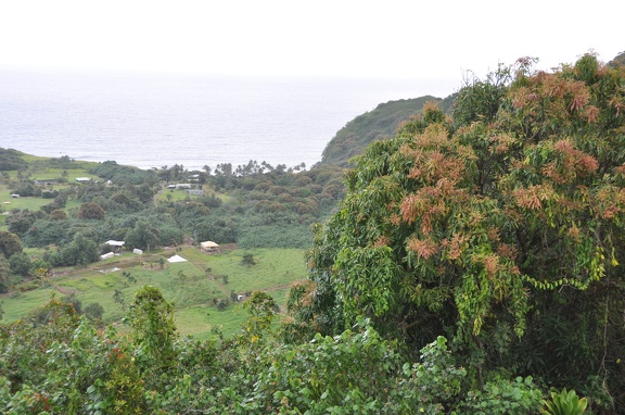 Maui 2012 150