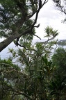 Maui 2012 163