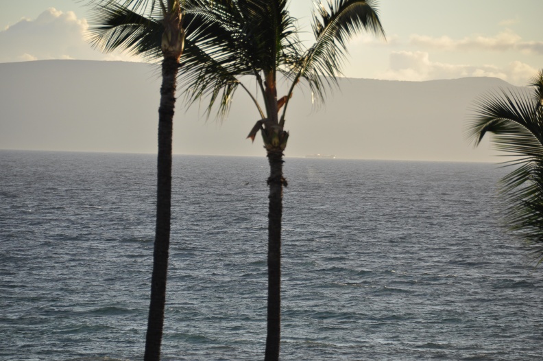Maui 2012 427