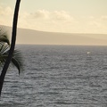 Maui 2012 433