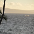 Maui 2012 435